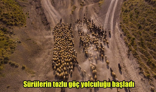 Sürülerin tozlu göç yolculuğu başladı