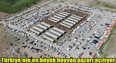 Türkiye'nin en büyük hayvan pazarı açılıyor