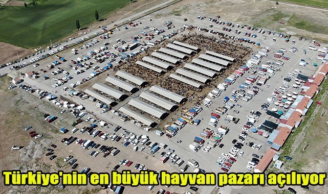Türkiye'nin en büyük hayvan pazarı açılıyor