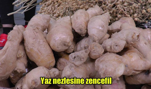 Yaz nezlesine zencefil