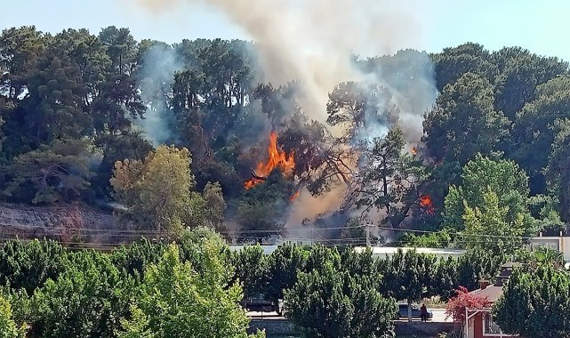 Antalya'da orman yangını