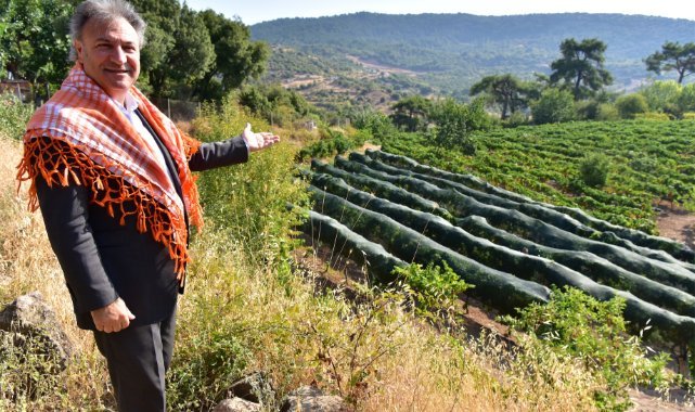 Bornova Kınalı Bamyası’na koruma kalkanı