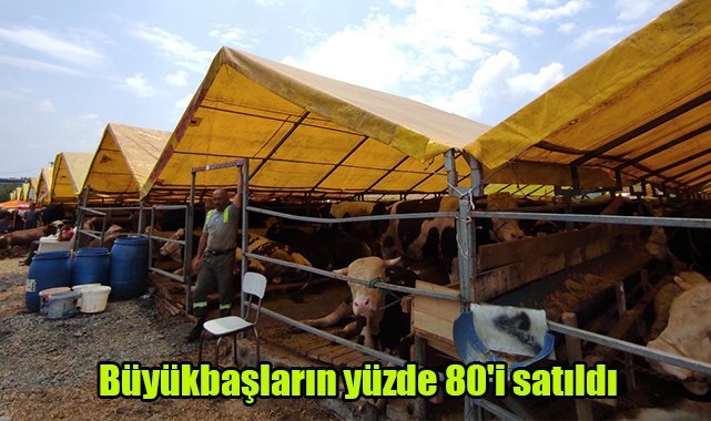 Büyükbaşların yüzde 80'i satıldı