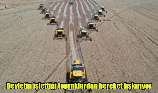 Devletin işlettiği topraklardan bereket fışkırıyor