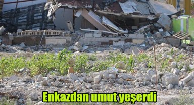 Enkazdan umut yeşerdi