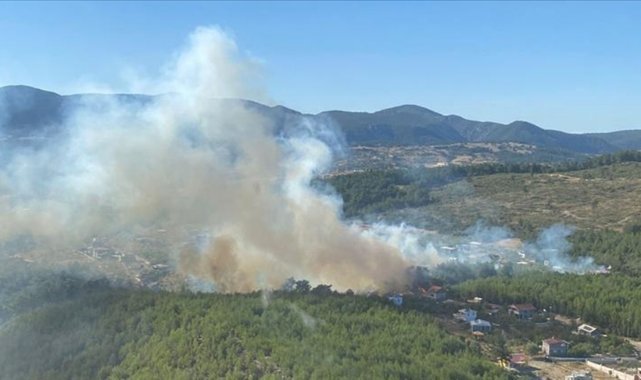 İzmir'de orman yangını: 5 helikopter 2 uçak bölgede