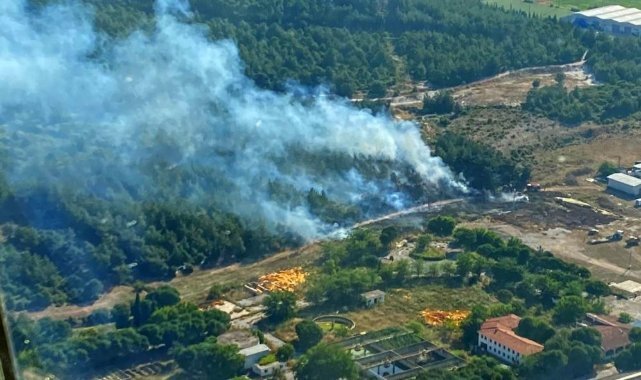 İzmir'de ormanlık alandaki yangın kontrol altında