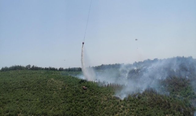 İzmir'deki orman yangını kontrol altında