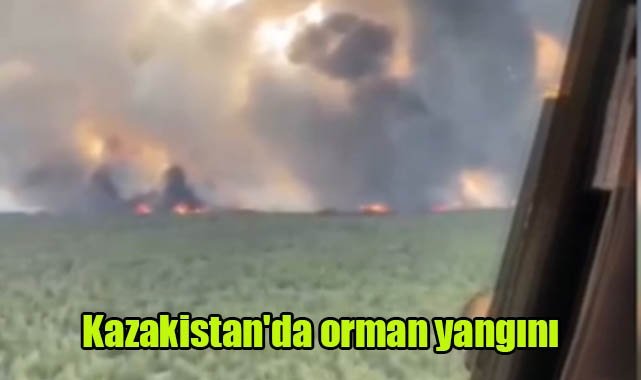 Kazakistan'da orman yangını