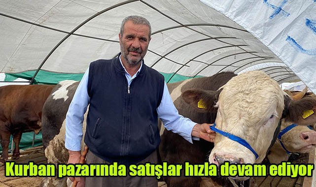 Kurban pazarında satışlar hızla devam ediyor