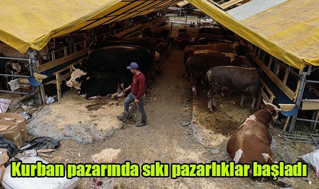 Kurban pazarında sıkı pazarlıklar başladı