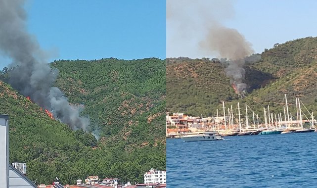 Marmaris'te orman yangını