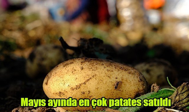Mayıs ayında en çok patates satıldı