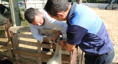 Menderes’te kurban denetimi: "Tüm hazırlıklarımızı tamamladık"