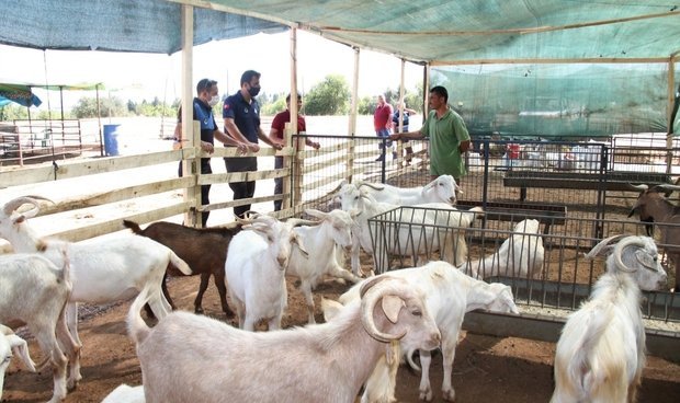 Menderes'te kurban yerleri hazır