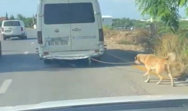 Minibüsün arkasına bağlanan köpeği zorla götüren sürücüye adli işlem