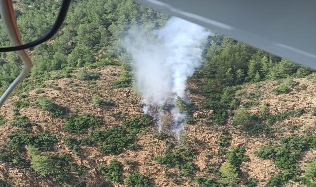 Muğla'da orman yangını