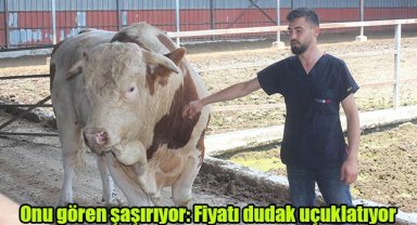 Onu gören şaşırıyor: Fiyatı dudak uçuklatıyor