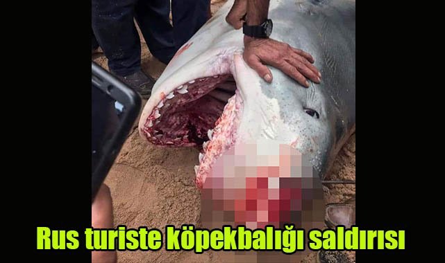 Rus turiste köpekbalığı saldırısı