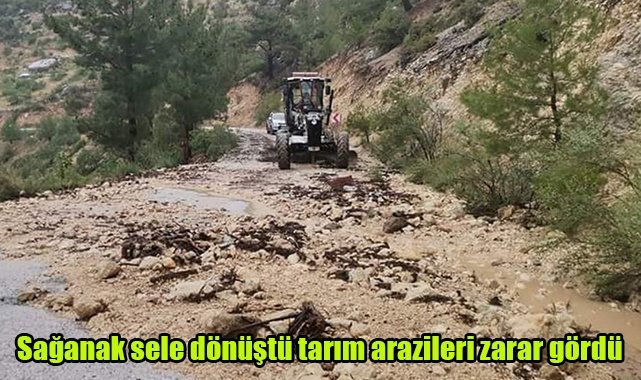 Sağanak sele dönüştü, tarım arazileri zarar gördü