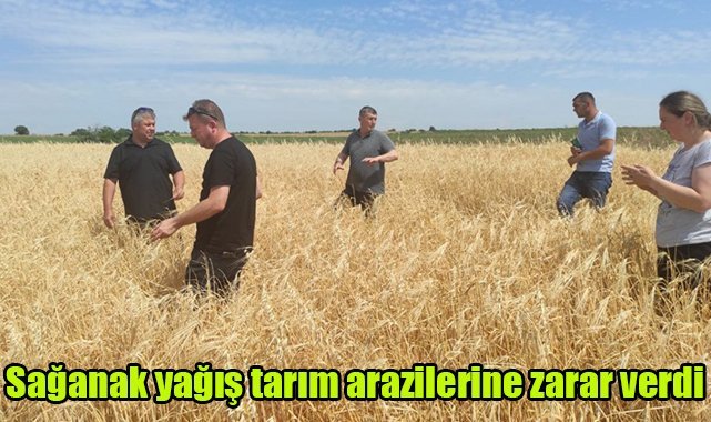 Sağanak yağış tarım arazilerine zarar verdi