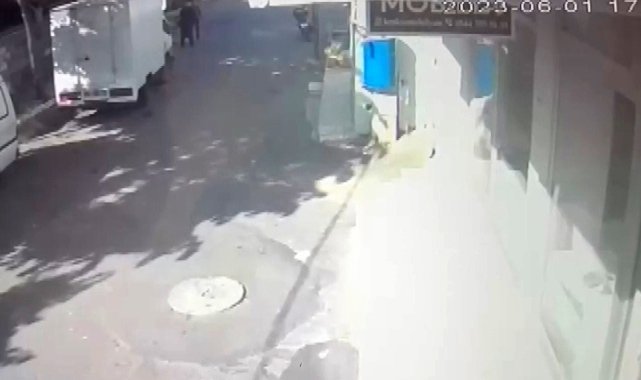 Sahte diploma dehşeti: 40 yıl sonra kurşun yağdırdı