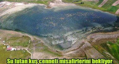 Su tutan kuş cenneti misafirlerini bekliyor