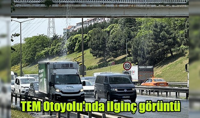 TEM Otoyolu'nda ilginç görüntü