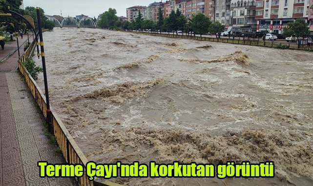 Terme Çayı'nda korkutan görüntü