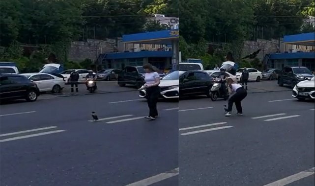 Yardım etmek istedi, karganın saldırısına uğradı