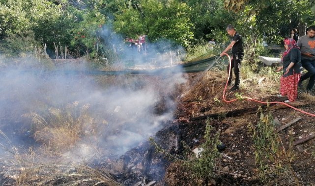 Yılandan korkup ormanı yakıyordu