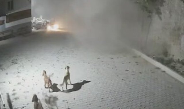 2 kişiye mezar olan otomobil uçurumdan böyle düştü