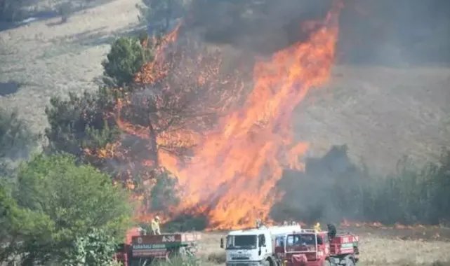 Adana'da orman yangını