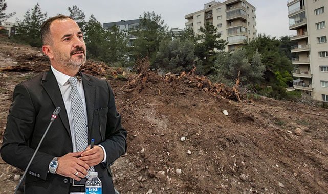 AK Partili Hızal:  İzmir nefes alanlarını kaybetti, 50 yıllık ağaçlar katledildi