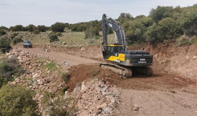 Aliağa’da ormanlık alanlarda hummalı çalışma