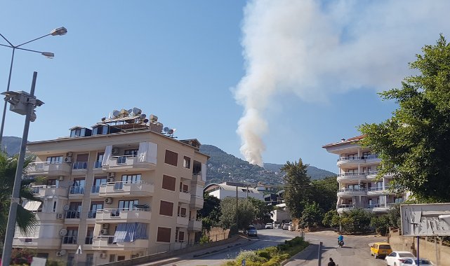 Antalya’da orman yangını