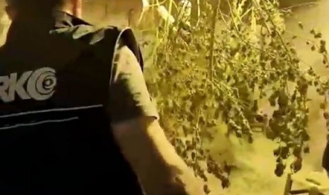 Aydın'da 1 ayda 8 bin gram uyuşturucu ele geçirildi