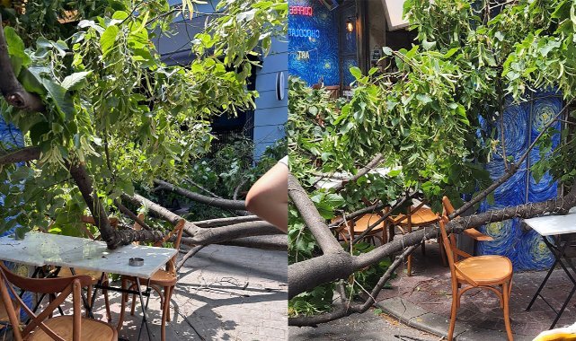Beyoğlu’da ağaç devrildi, çevredekiler son anda kurtuldu