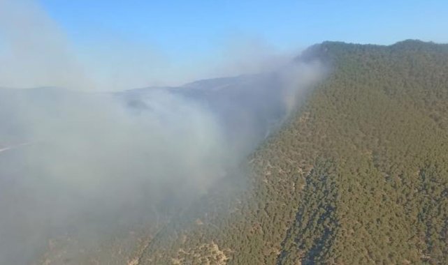 Bolu'da orman yangını