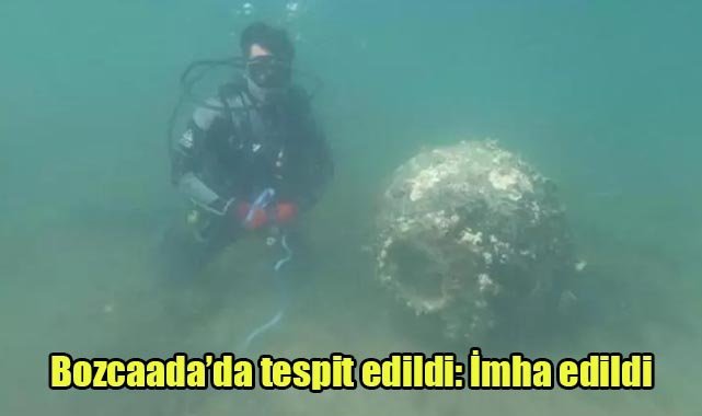 Bozcaada’da tespit edildi: İmha edildi
