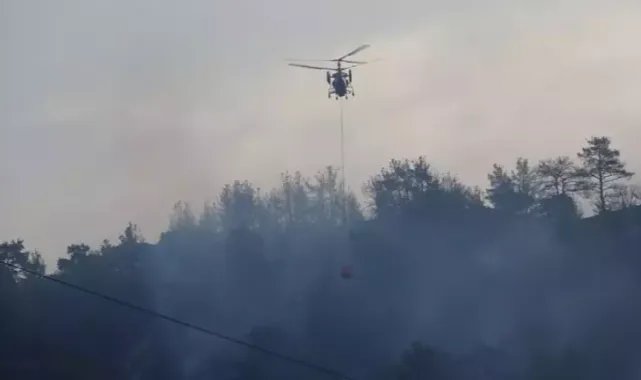 Çanakkale’de orman yangını