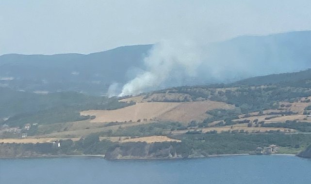 Çanakkale'de orman yangını