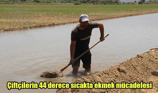 Çiftçilerin 44 derece sıcakta ekmek mücadelesi