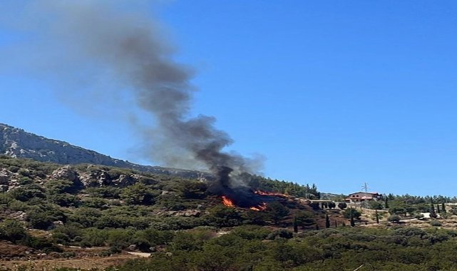 Datça’da orman yangını