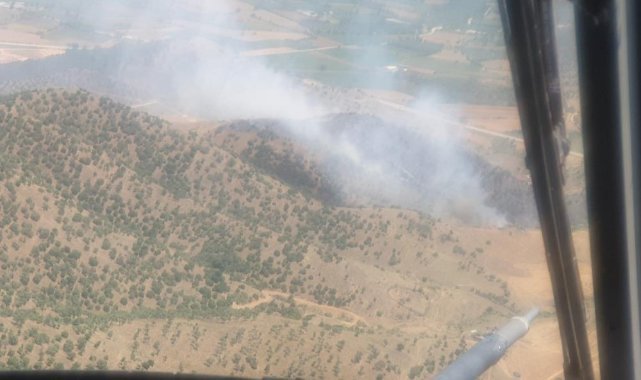 Ekin tarlasında başlayan yangın ormana sıçradı