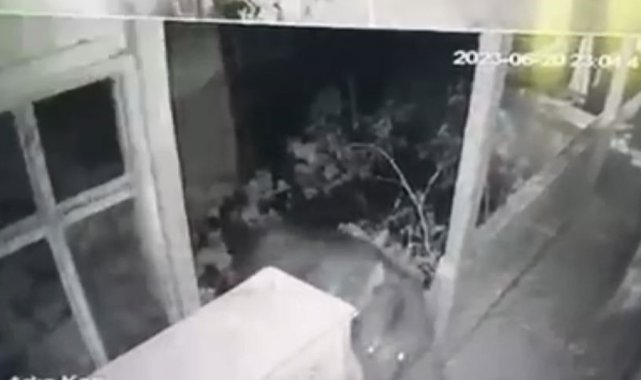 Eve girmeye çalışan ayı güvenlik kamerasına yansıdı