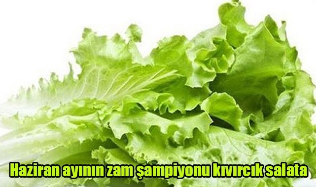 Haziran ayının zam şampiyonu kıvırcık salata