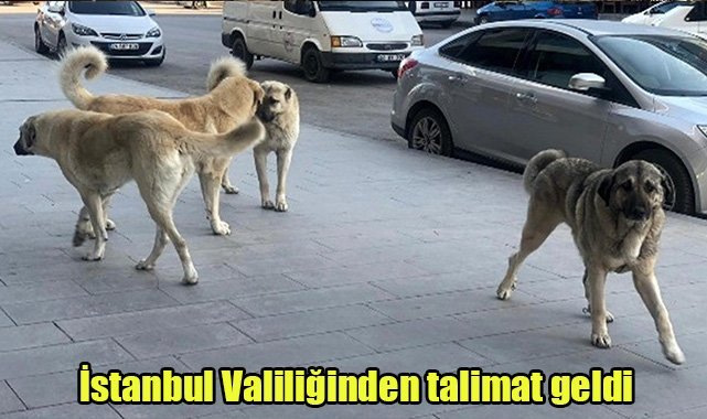İstanbul Valiliğinden talimat geldi