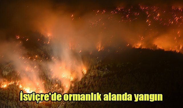 İsviçre'de ormanlık alanda yangın