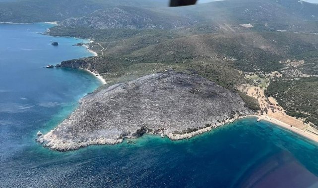 İzmir'de makilik alanda çıkan yangın kontrol altında